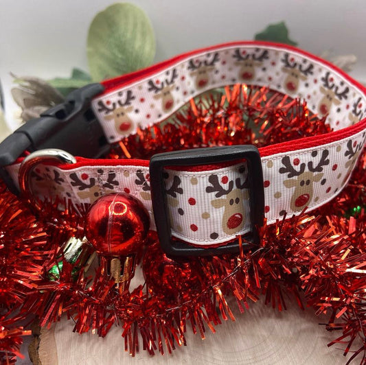 Large Holiday Dog Collars